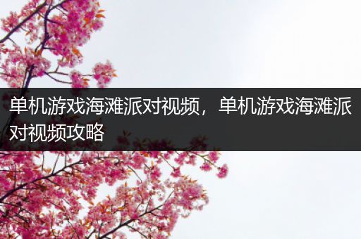 单机游戏海滩派对视频，单机游戏海滩派对视频攻略