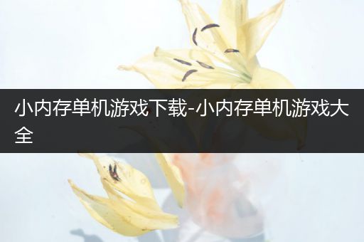 小内存单机游戏下载-小内存单机游戏大全