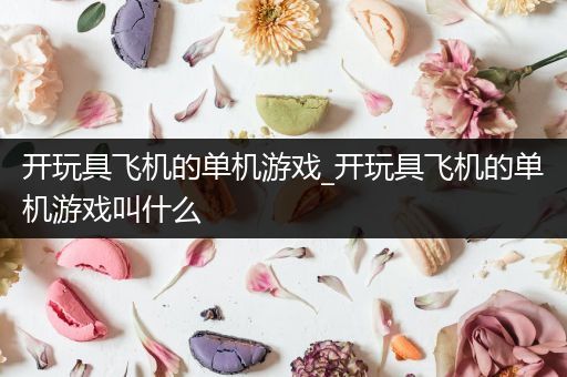 开玩具飞机的单机游戏_开玩具飞机的单机游戏叫什么