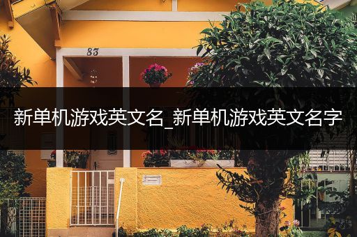 新单机游戏英文名_新单机游戏英文名字