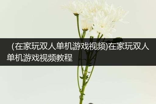 （在家玩双人单机游戏视频)在家玩双人单机游戏视频教程