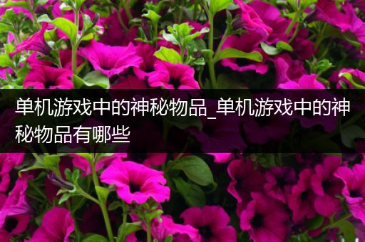 单机游戏中的神秘物品_单机游戏中的神秘物品有哪些