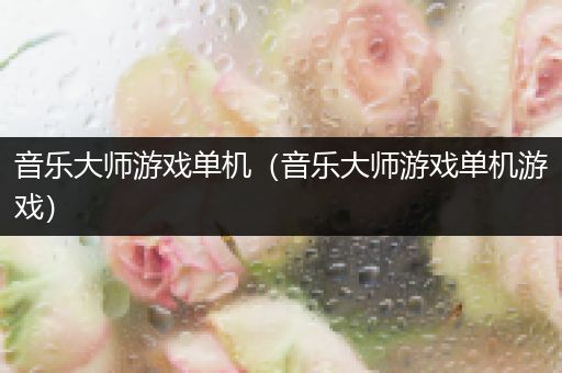 音乐大师游戏单机（音乐大师游戏单机游戏）