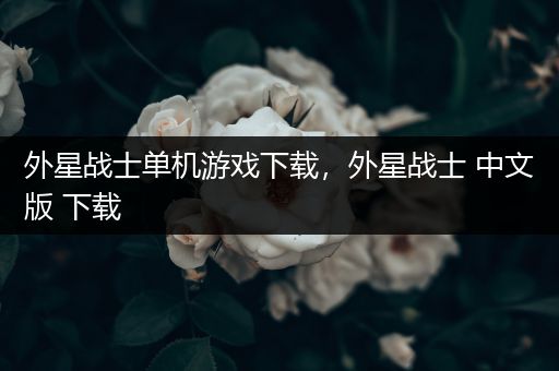 外星战士单机游戏下载，外星战士 中文版 下载
