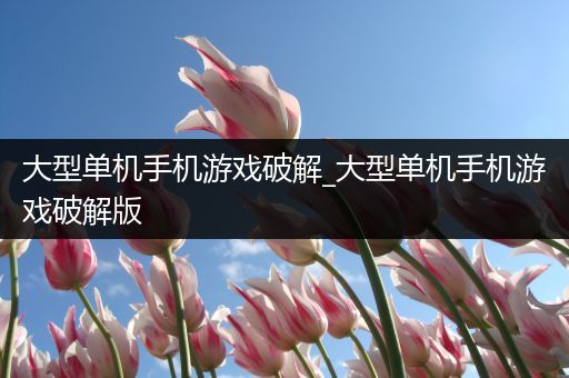 大型单机手机游戏破解_大型单机手机游戏破解版