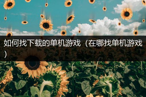 如何找下载的单机游戏（在哪找单机游戏）