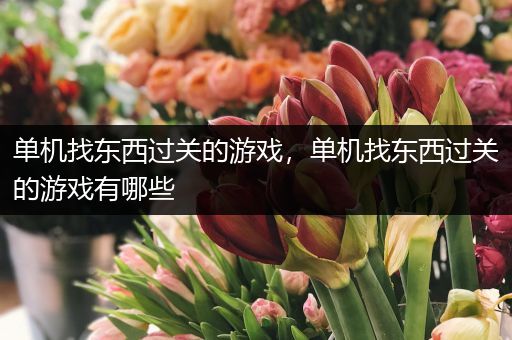 单机找东西过关的游戏，单机找东西过关的游戏有哪些