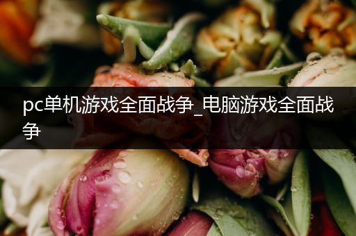 pc单机游戏全面战争_电脑游戏全面战争