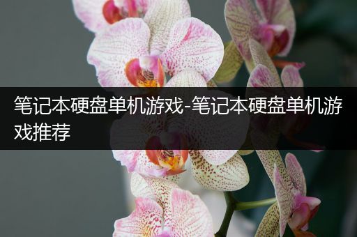 笔记本硬盘单机游戏-笔记本硬盘单机游戏推荐