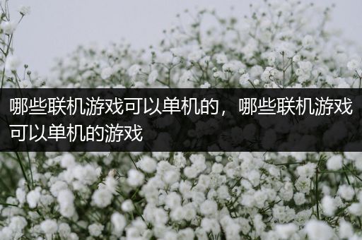 哪些联机游戏可以单机的，哪些联机游戏可以单机的游戏