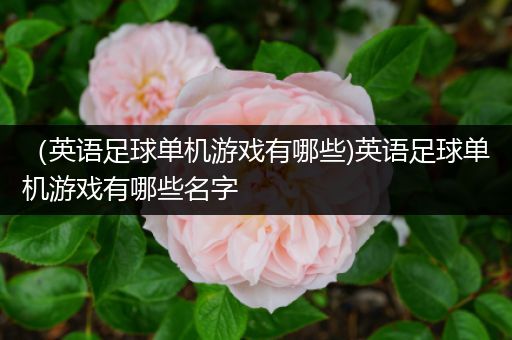 （英语足球单机游戏有哪些)英语足球单机游戏有哪些名字