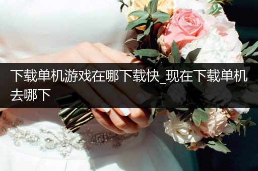 下载单机游戏在哪下载快_现在下载单机去哪下