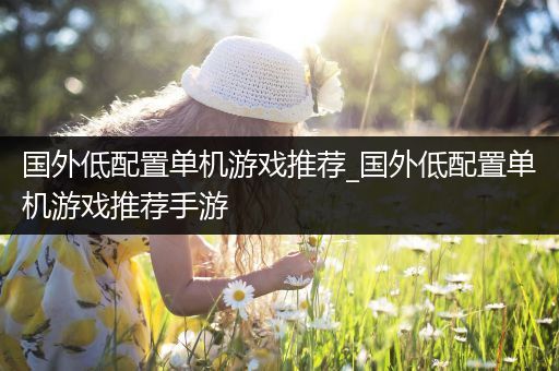 国外低配置单机游戏推荐_国外低配置单机游戏推荐手游