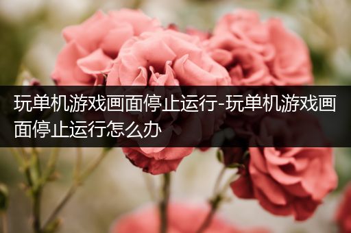 玩单机游戏画面停止运行-玩单机游戏画面停止运行怎么办