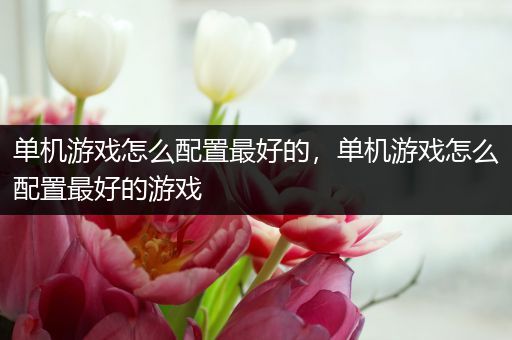 单机游戏怎么配置最好的，单机游戏怎么配置最好的游戏