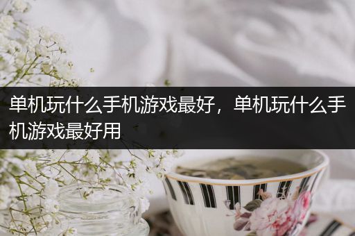 单机玩什么手机游戏最好，单机玩什么手机游戏最好用