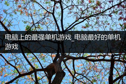 电脑上的最强单机游戏_电脑最好的单机游戏