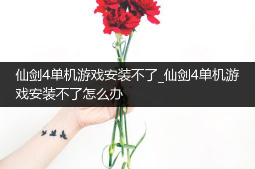 仙剑4单机游戏安装不了_仙剑4单机游戏安装不了怎么办