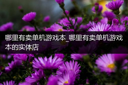 哪里有卖单机游戏本_哪里有卖单机游戏本的实体店
