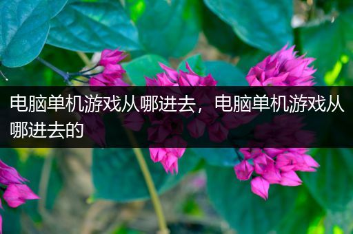 电脑单机游戏从哪进去，电脑单机游戏从哪进去的
