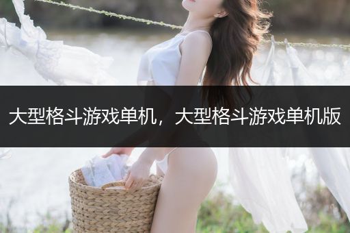 大型格斗游戏单机，大型格斗游戏单机版