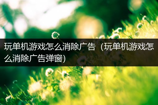 玩单机游戏怎么消除广告（玩单机游戏怎么消除广告弹窗）