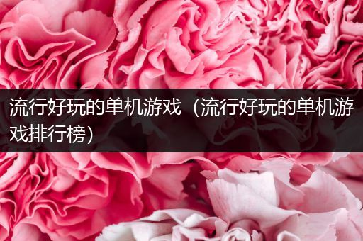 流行好玩的单机游戏（流行好玩的单机游戏排行榜）