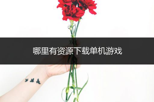 哪里有资源下载单机游戏