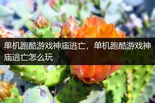 单机跑酷游戏神庙逃亡，单机跑酷游戏神庙逃亡怎么玩