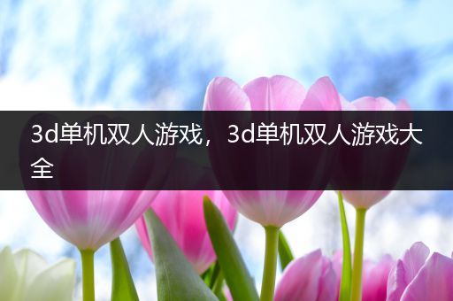 3d单机双人游戏，3d单机双人游戏大全