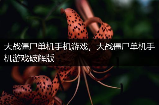 大战僵尸单机手机游戏，大战僵尸单机手机游戏破解版
