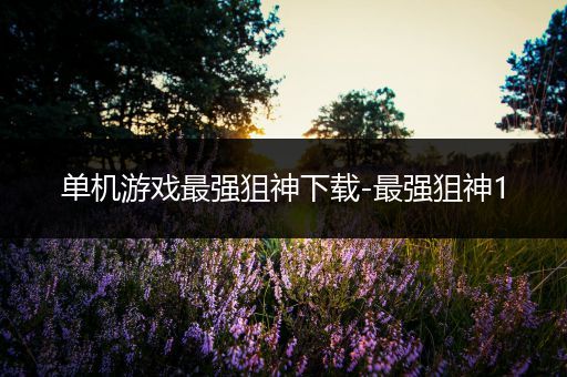 单机游戏最强狙神下载-最强狙神1