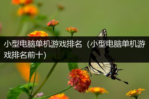 小型电脑单机游戏排名（小型电脑单机游戏排名前十）