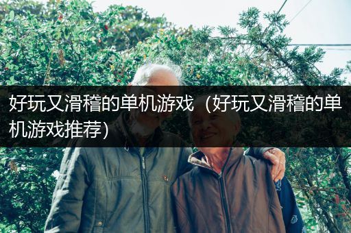 好玩又滑稽的单机游戏（好玩又滑稽的单机游戏推荐）