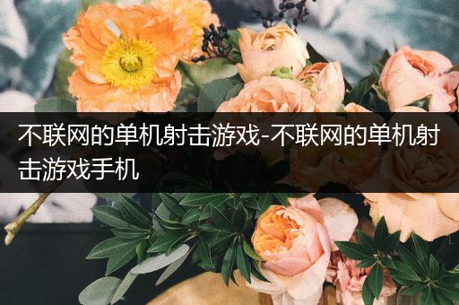 不联网的单机射击游戏-不联网的单机射击游戏手机