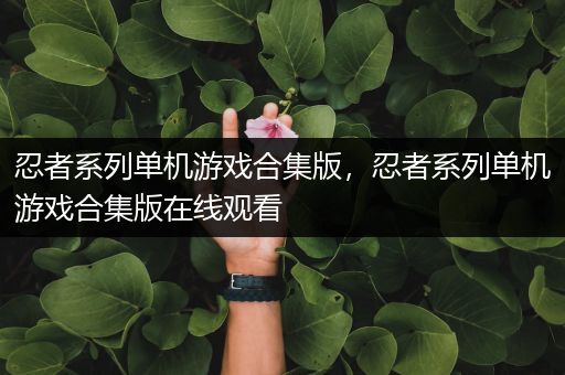 忍者系列单机游戏合集版，忍者系列单机游戏合集版在线观看