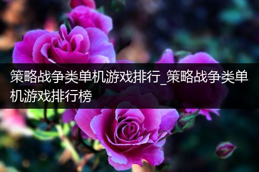 策略战争类单机游戏排行_策略战争类单机游戏排行榜