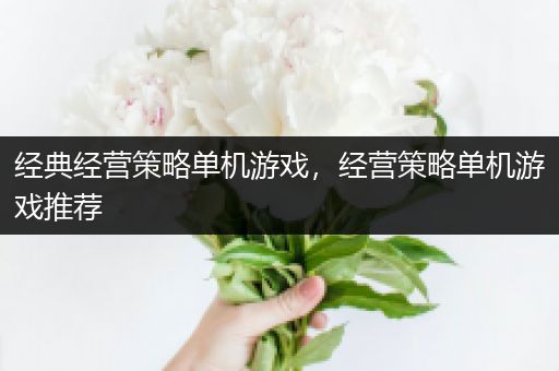 经典经营策略单机游戏，经营策略单机游戏推荐