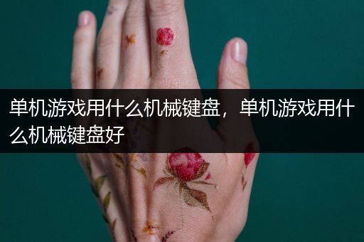 单机游戏用什么机械键盘，单机游戏用什么机械键盘好