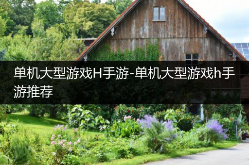 单机大型游戏H手游-单机大型游戏h手游推荐