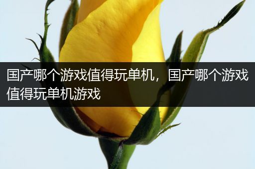 国产哪个游戏值得玩单机，国产哪个游戏值得玩单机游戏
