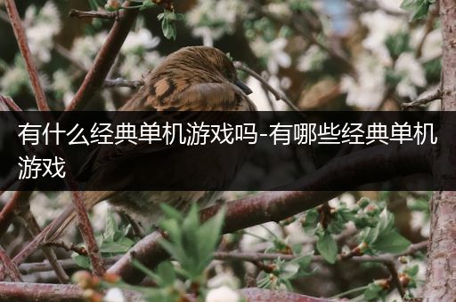 有什么经典单机游戏吗-有哪些经典单机游戏