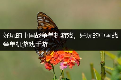 好玩的中国战争单机游戏，好玩的中国战争单机游戏手游