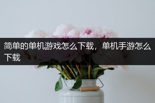 简单的单机游戏怎么下载，单机手游怎么下载