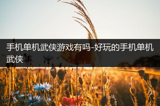手机单机武侠游戏有吗-好玩的手机单机武侠