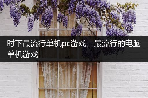 时下最流行单机pc游戏，最流行的电脑单机游戏
