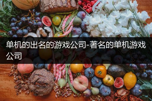 单机的出名的游戏公司-著名的单机游戏公司
