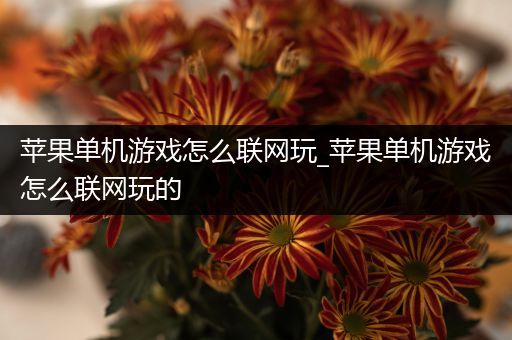 苹果单机游戏怎么联网玩_苹果单机游戏怎么联网玩的