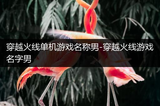 穿越火线单机游戏名称男-穿越火线游戏名字男