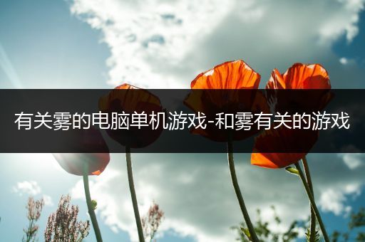 有关雾的电脑单机游戏-和雾有关的游戏